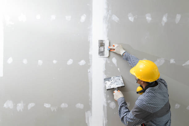 Trusted Springs, NY Painting & Drywall Installation Experts